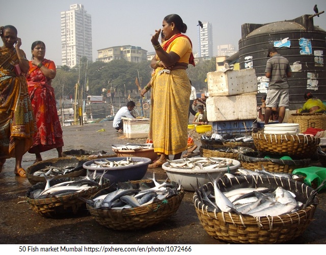 50 fish_auction_docks_sassoon_mumbai_typical_famous_auctioning-1072466
