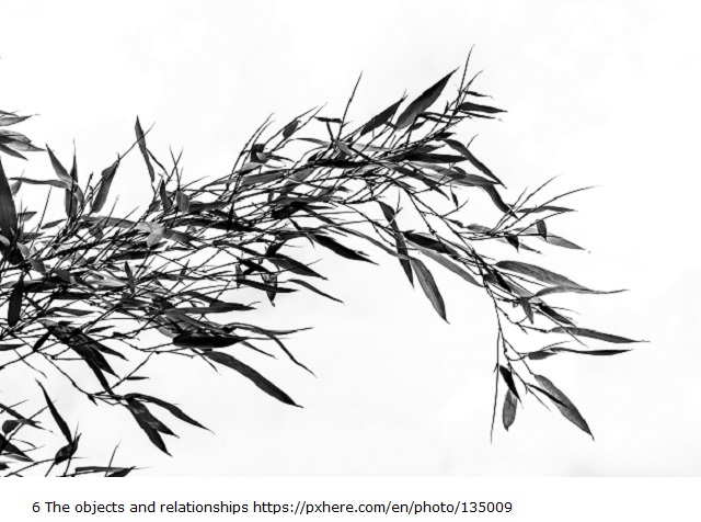 6 The objects and relationships httpspxhere.comenphoto135009 tree-grass-branch-black-and-white-plant-white-1350097-pxhere.com